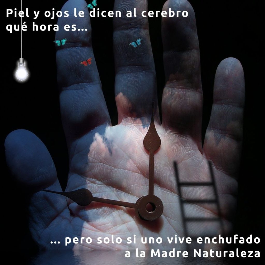 Piel-y-ojos-relojes-circadianos
