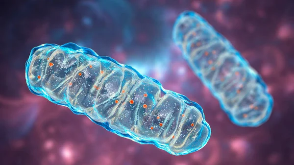 depositphotos_558696872-stock-photo-mitochondria-membrane-enclosed-cellular-organelles
